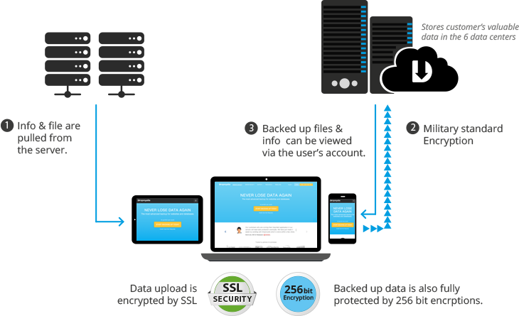 Secure backup storage